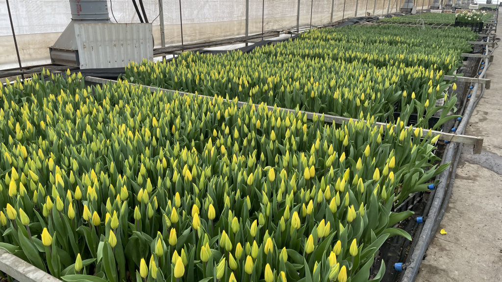 FullSizeRender (34).jpg