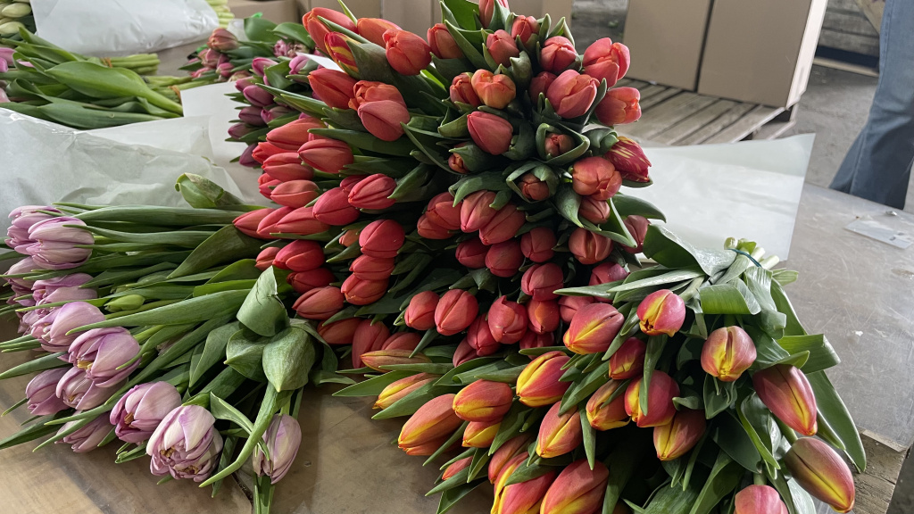 FullSizeRender (28).jpg